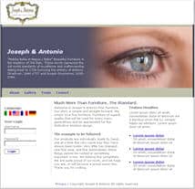 website design services for mobile responsive